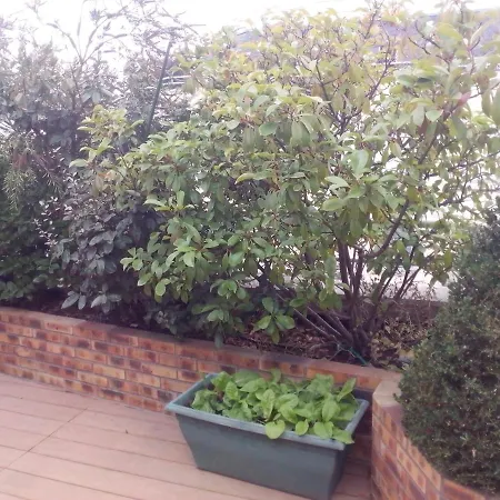 D'hôtes Issy-paris Alojamento de Acomodação e Pequeno-almoço *