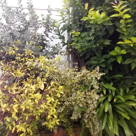 Alojamento de Acomodação e Pequeno-almoço D'hôtes Issy-paris *